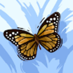 Meet your Posher, Ken